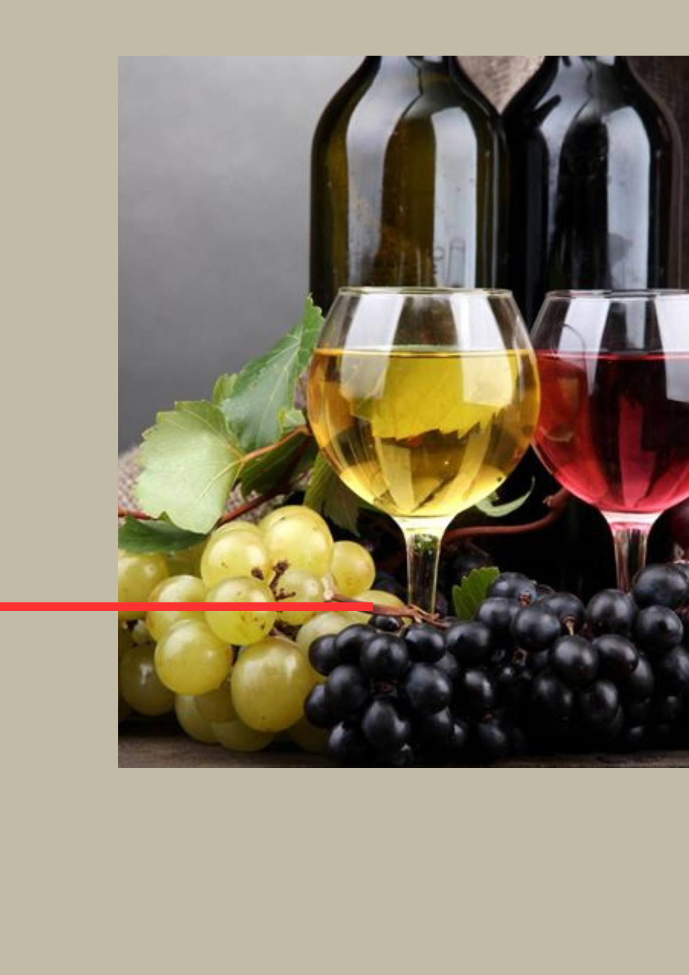 ‘‘XXIII Edizione Vini di Coros’’ e ‘‘8^ Rassegna del Cagnulari-Premio 