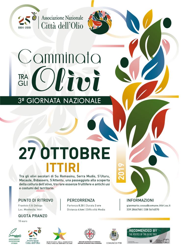 Camminata tra gli Olivi